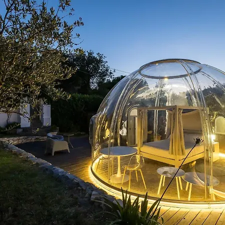 Bubble Pegasus Blue E Bubble Volans *