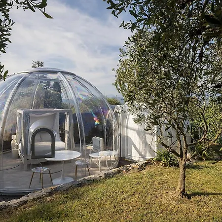 Bubble Pegasus Blue E Bubble Volans ラグジュアリーテント *