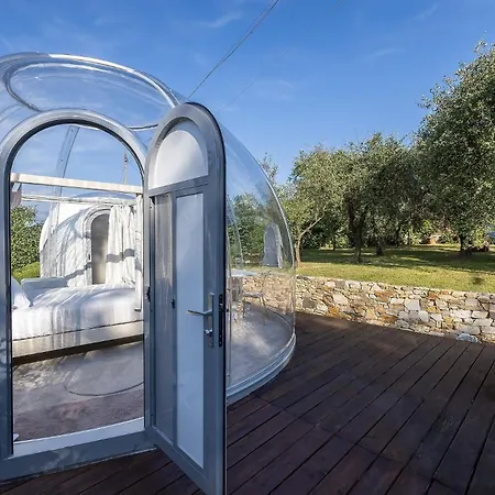 Bubble Pegasus Blue E Bubble Volans