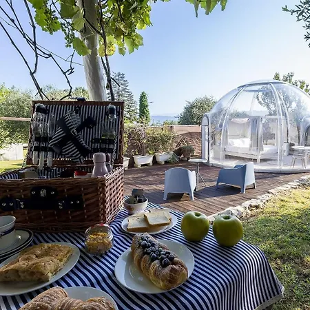 ラグジュアリーテント Bubble Pegasus Blue E Bubble Volans