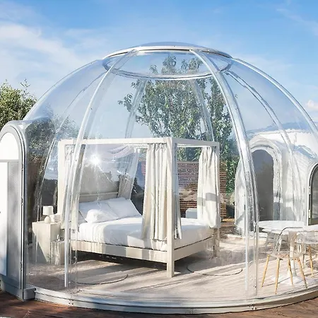 Bubble Pegasus Blue E Bubble Volans