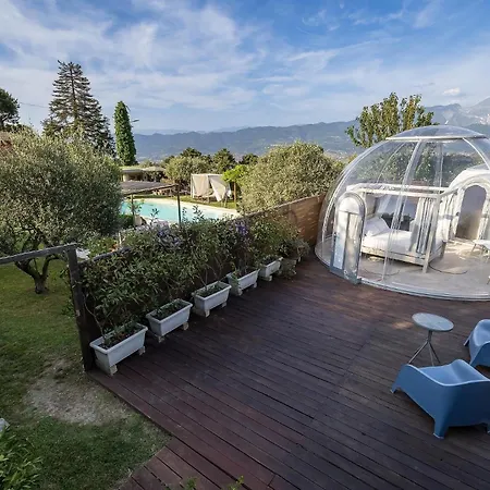 Bubble Pegasus Blue E Bubble Volans モンテマルチェッロ